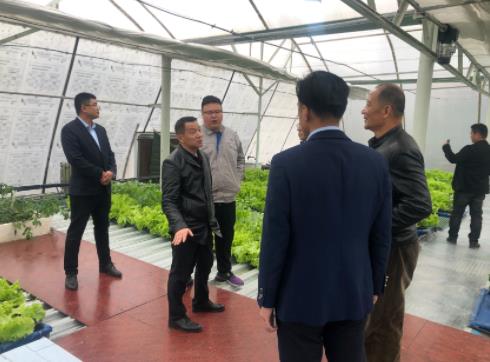 菏泽城市发展集团文化产业公司莅临通博TBET环保考察(图1)