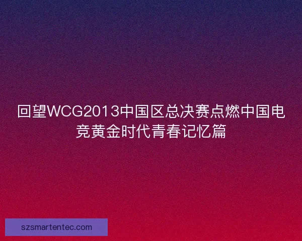 回望WCG2013中国区总决赛点燃中国电竞黄金时代青春记忆篇 回望WCG2013中国区总决赛点燃中国电竞黄金时代青春记忆篇