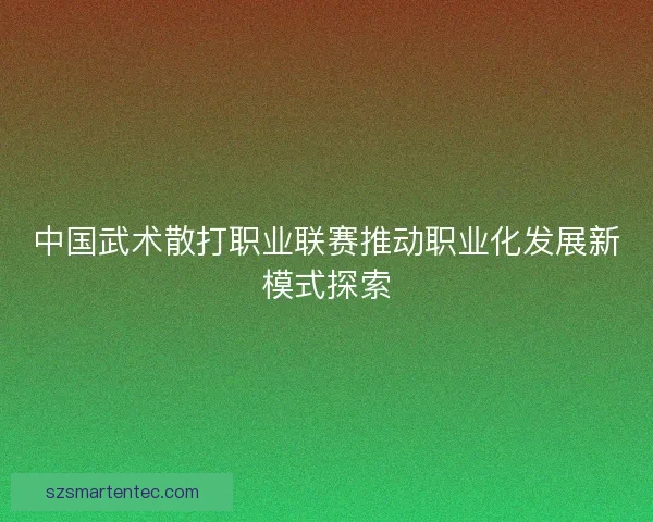 中国武术散打职业联赛推动职业化发展新模式探索